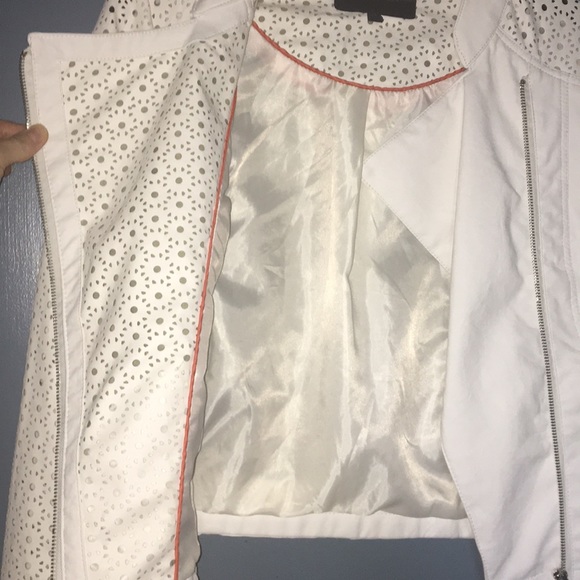 Steve Madden Laser cut moto jacket - Picture 3 of 6